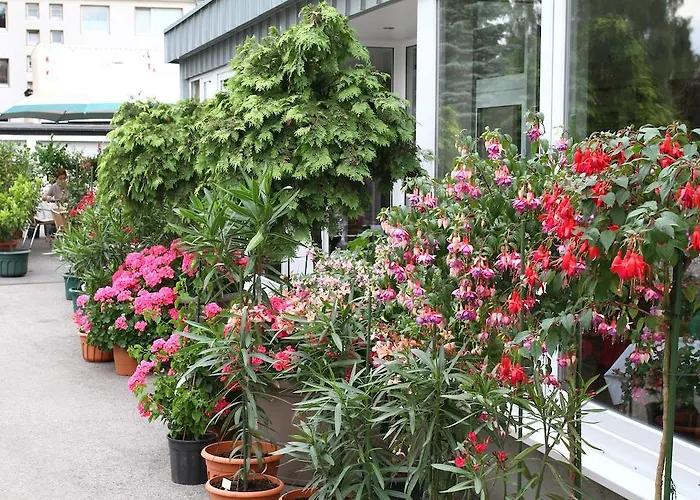 Hotel Mennicken Würselen