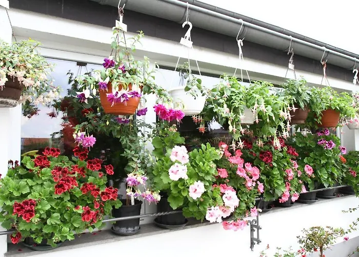 曼尼肯酒店 伍尔瑟伦